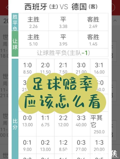 世界杯正规竞猜平台专业赔率解析 世界杯正规竞猜平台专业赔率解析